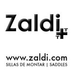 logo Zaldi